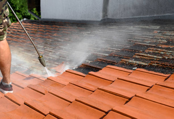 Best Power Washing Near Me  in Lone Jack, MO