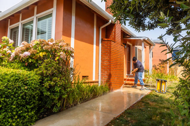 Best Roof Pressure Washing  in Lone Jack, MO