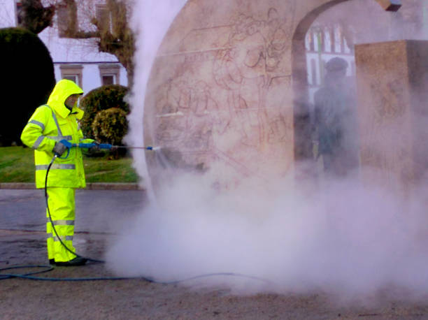 Best Roof Pressure Washing  in Lone Jack, MO